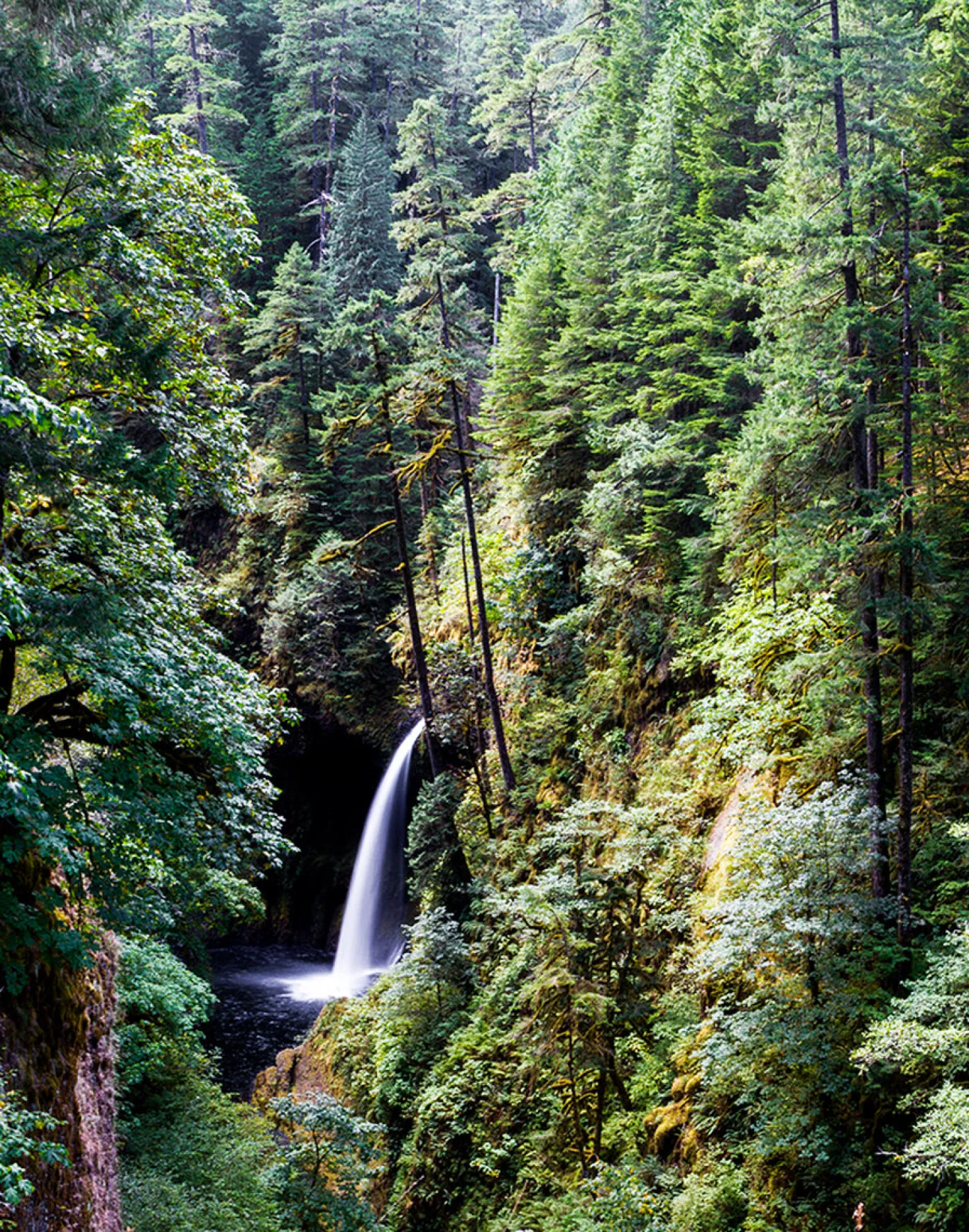 Mother Earth Mom Hat