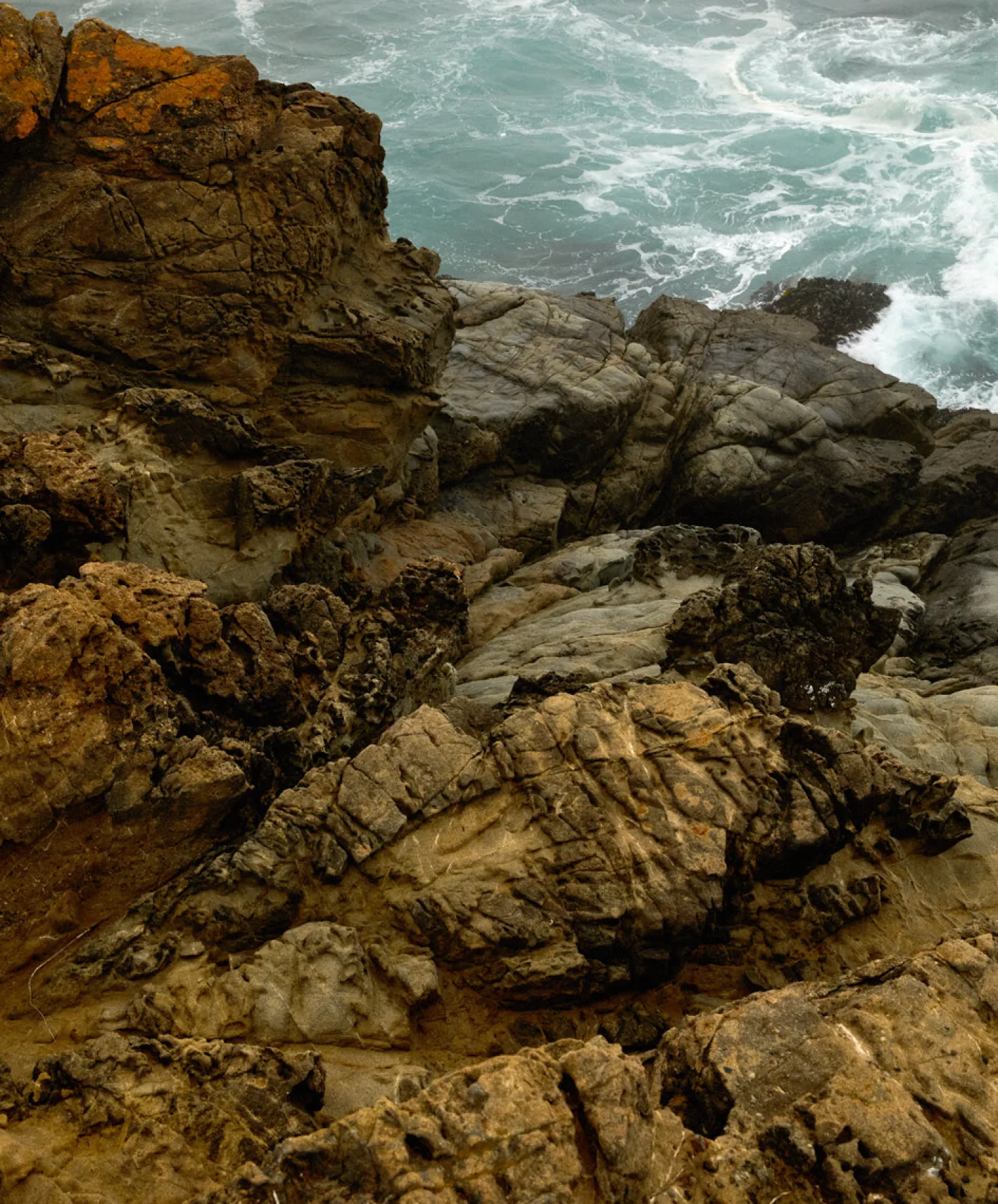 Otis Eyewear Jazmine