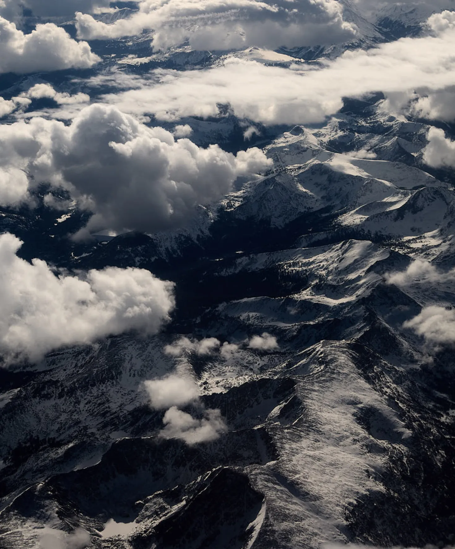 Otis Eyewear Jazmine