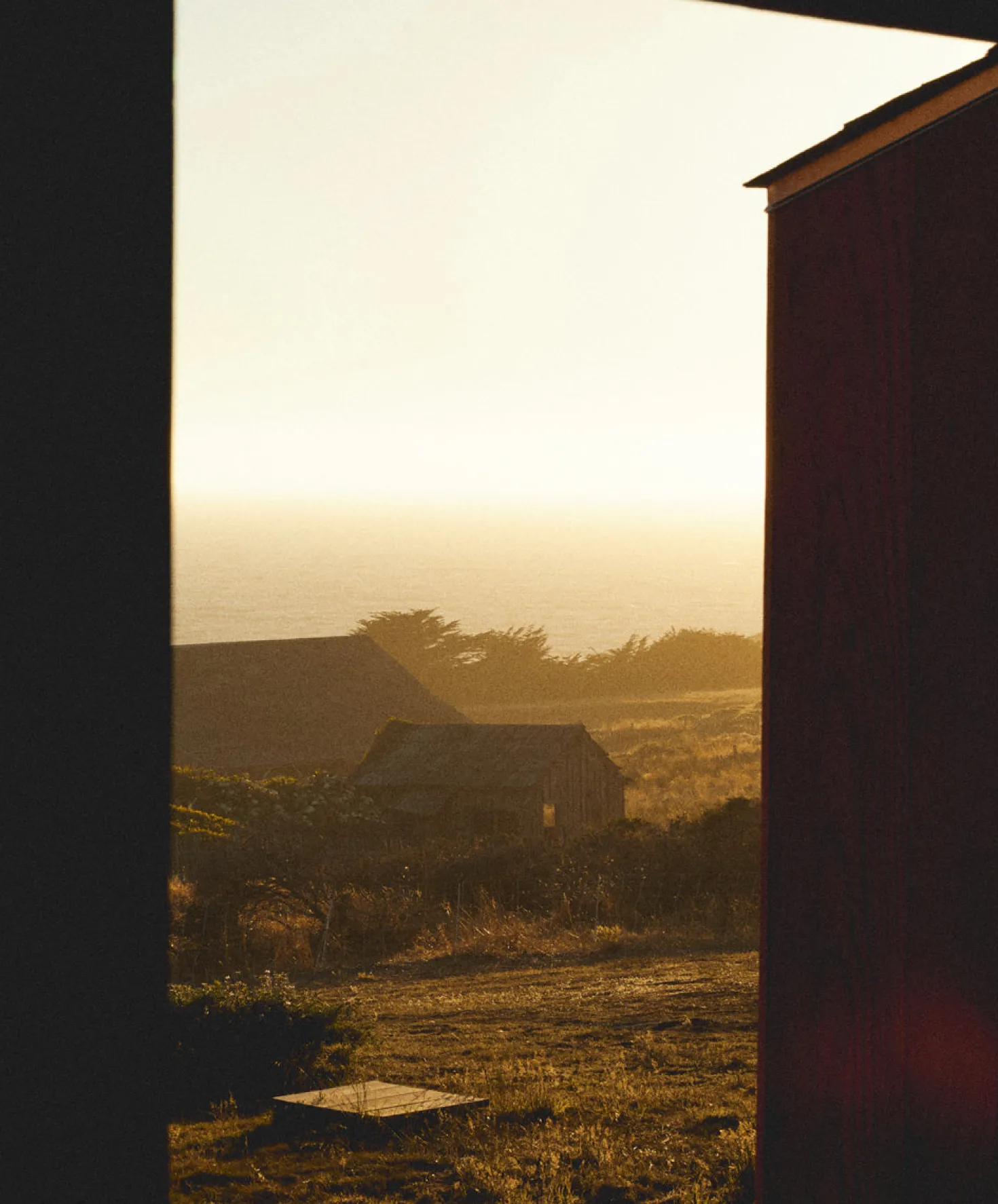 Otis Eyewear Panorama Eco