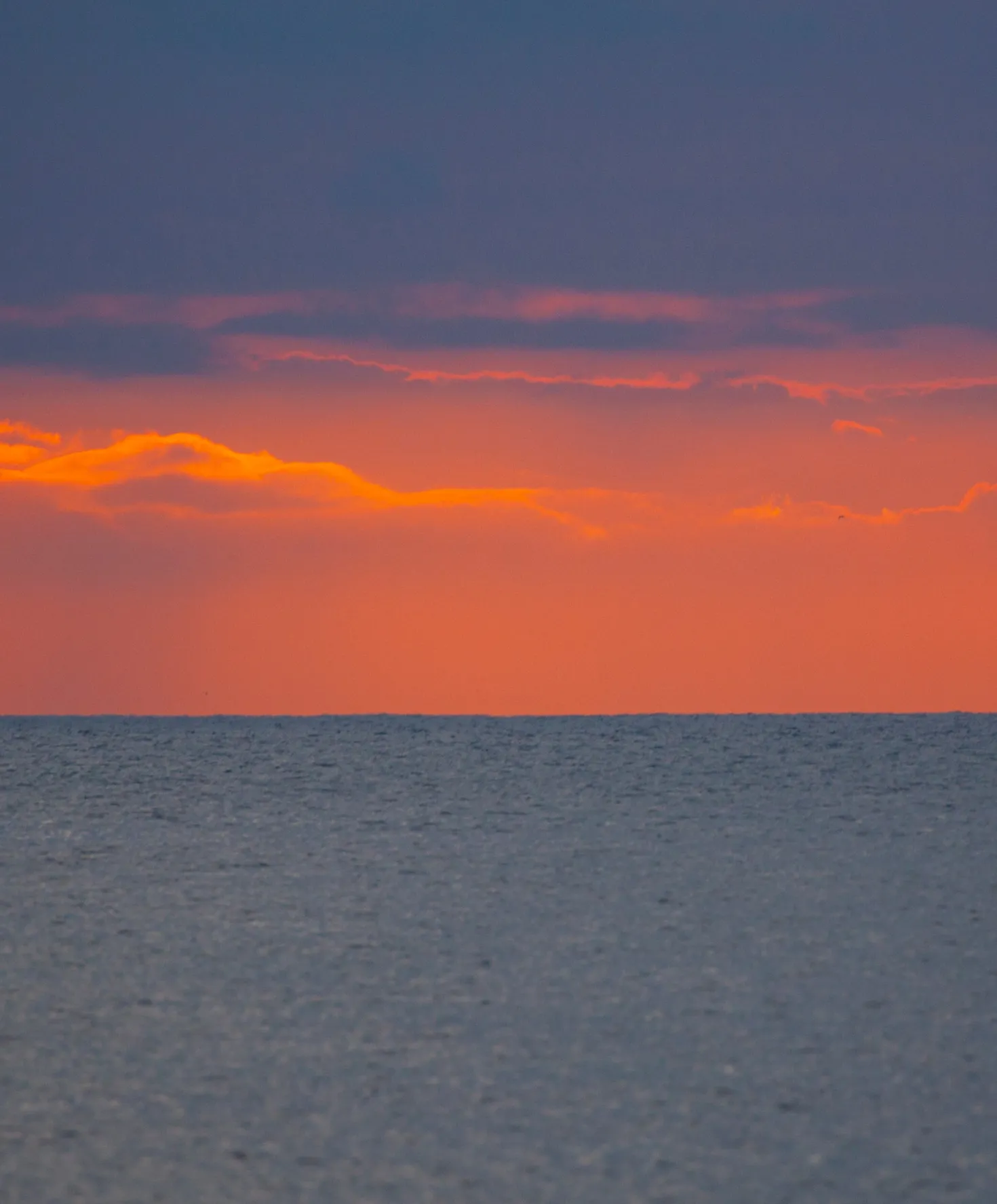 Otis Eyewear Summer of '67