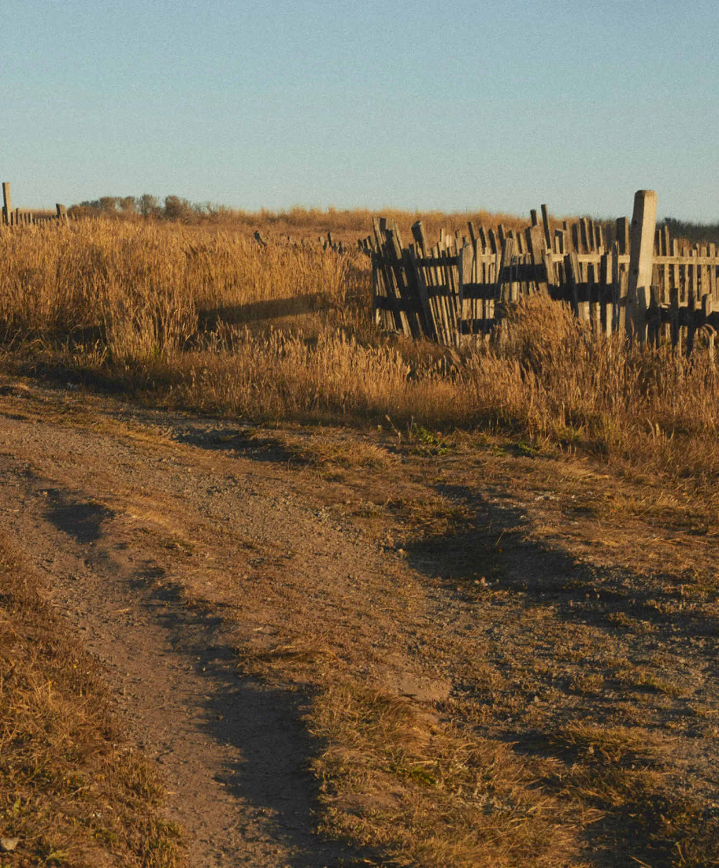 Otis Eyewear Summer of '67