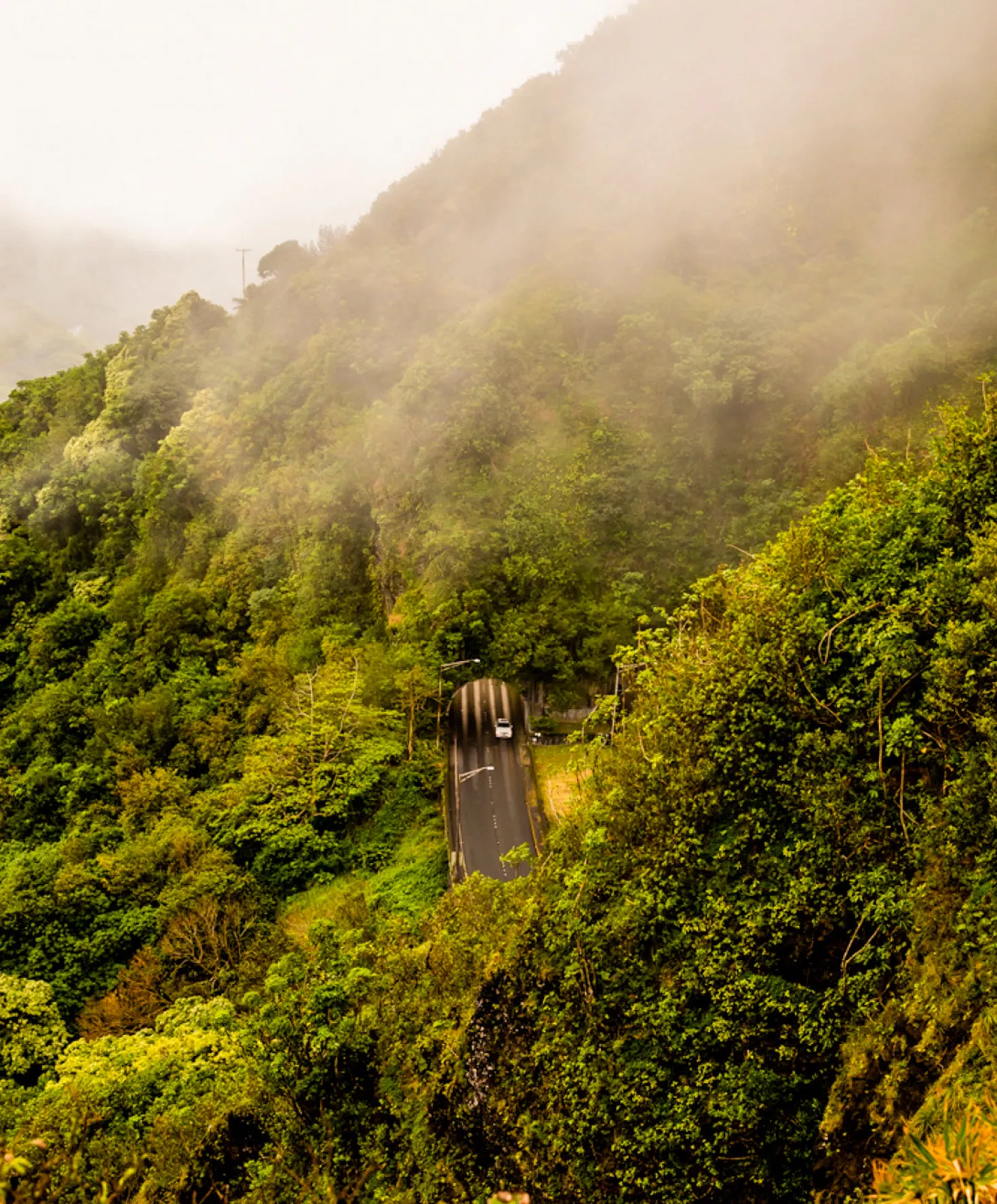Project Vermont Path to Totality Tee