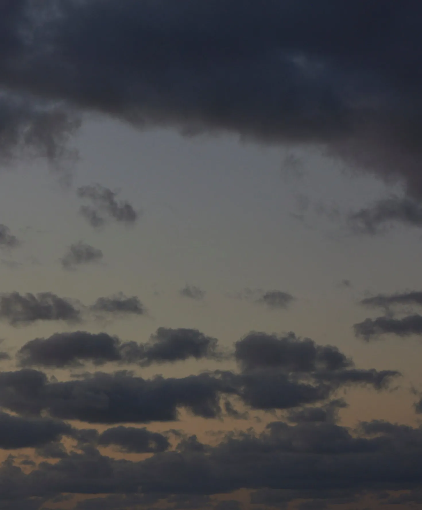 Station Suit Shortall