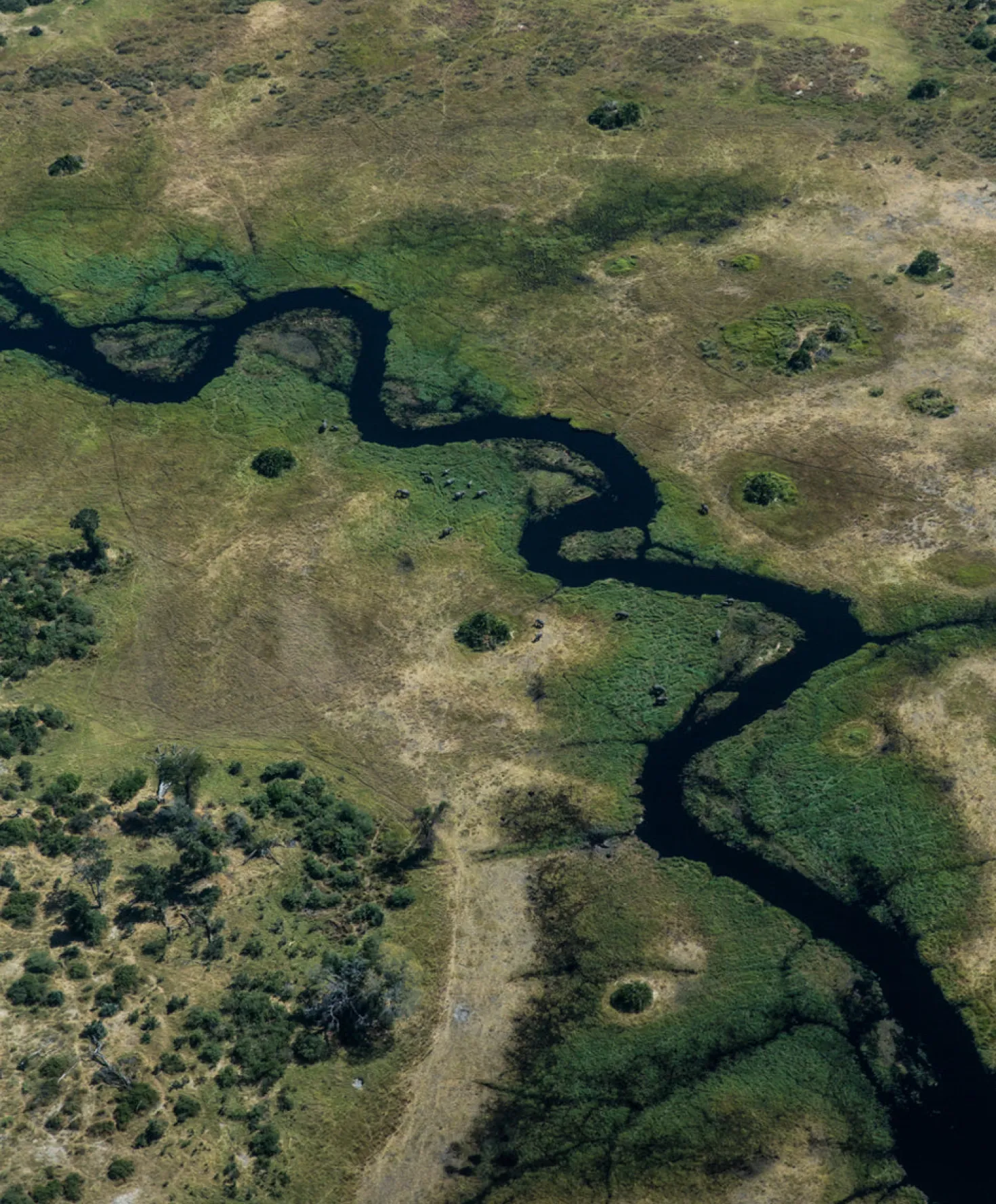 Voyage Cord Overalls