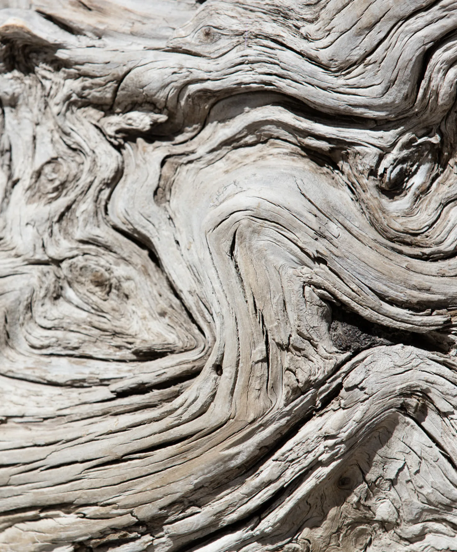 Women's Blanket Shirt