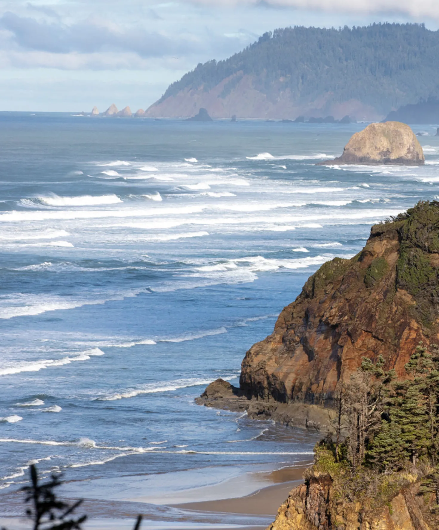 Women's Blanket Shirt