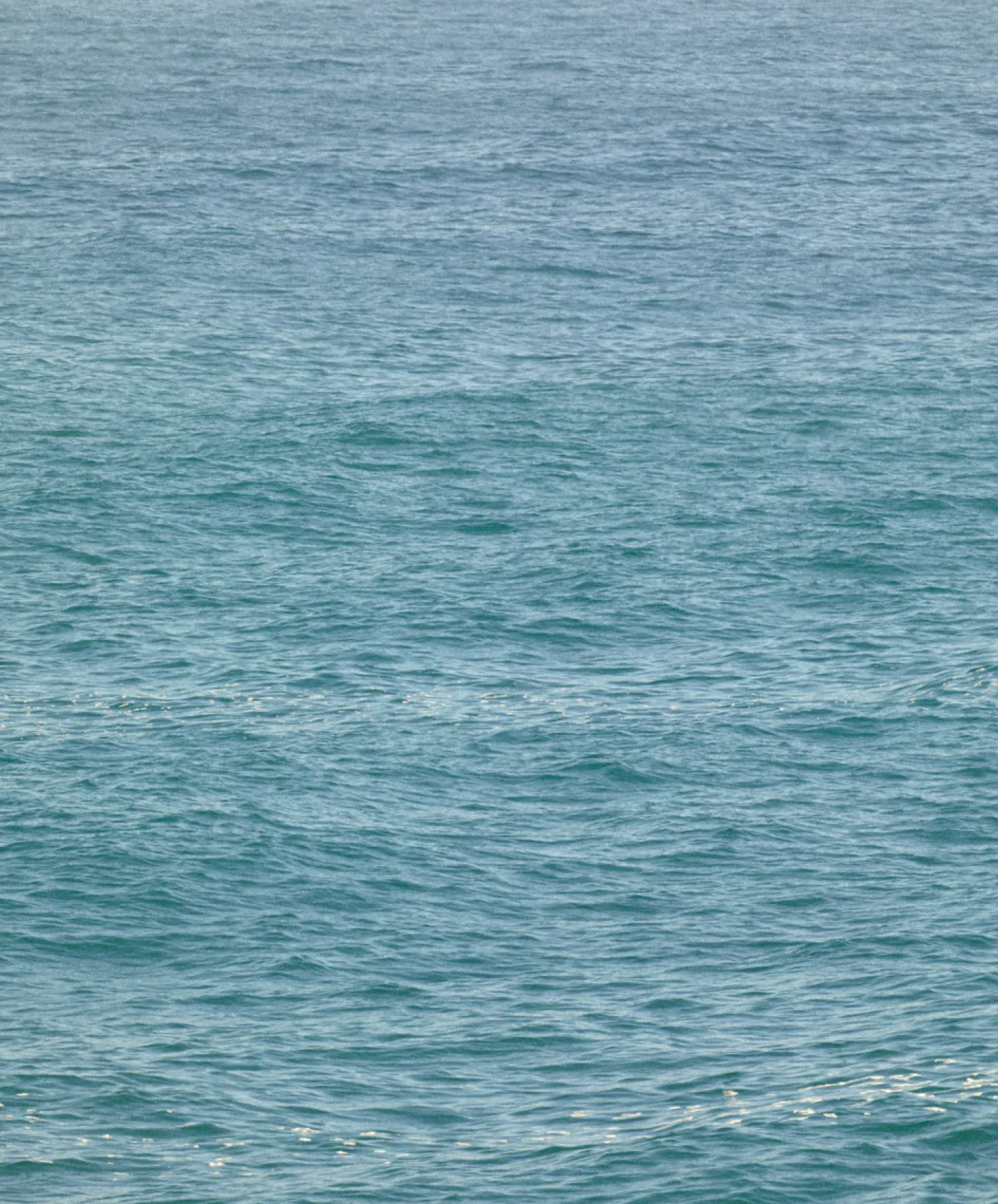 Women's Blanket Shirt