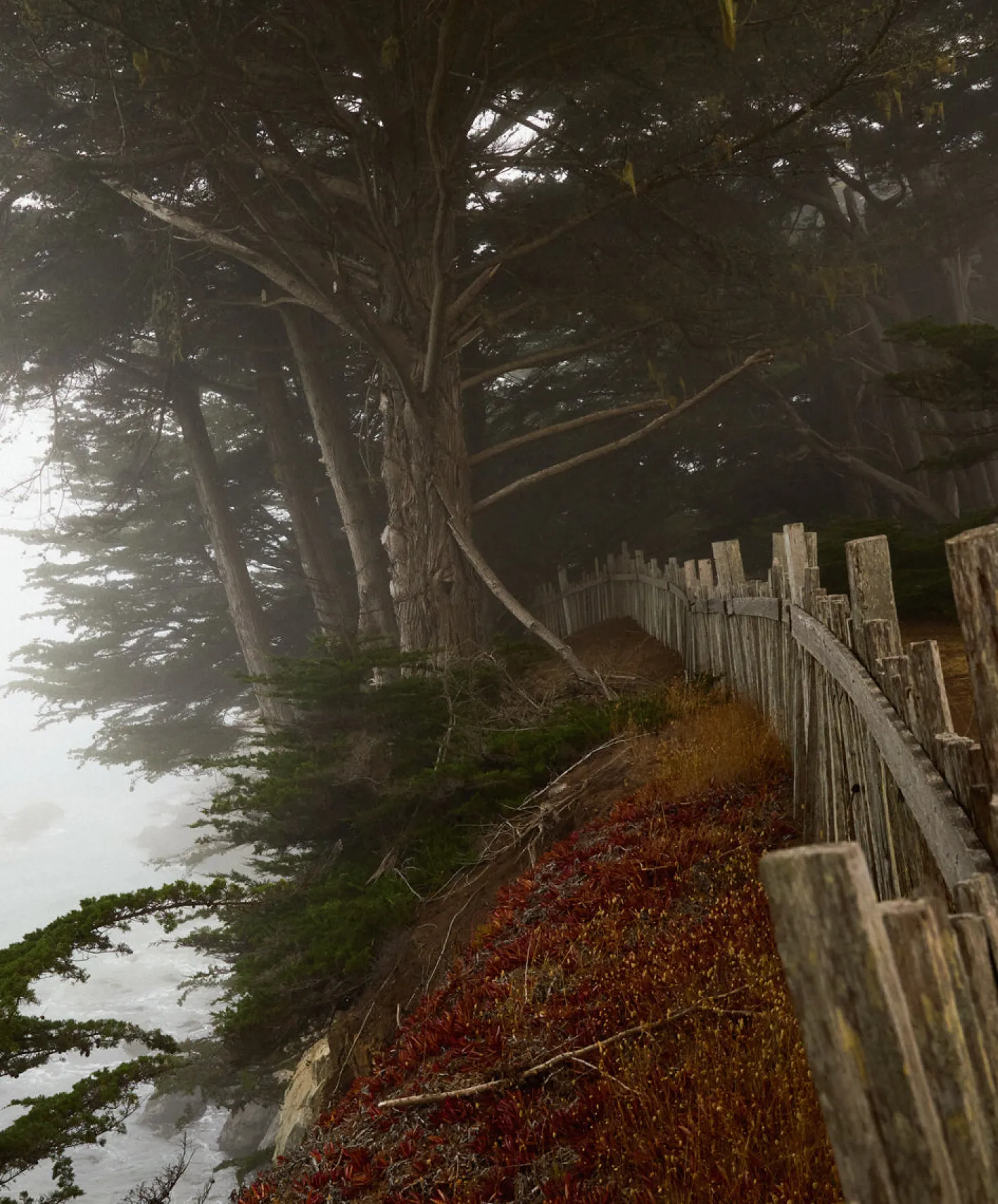 Women's Chroma Blanket Shirt