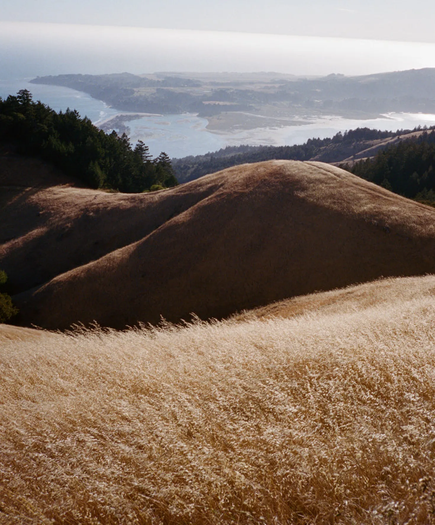 Women's Chroma Blanket Shirt