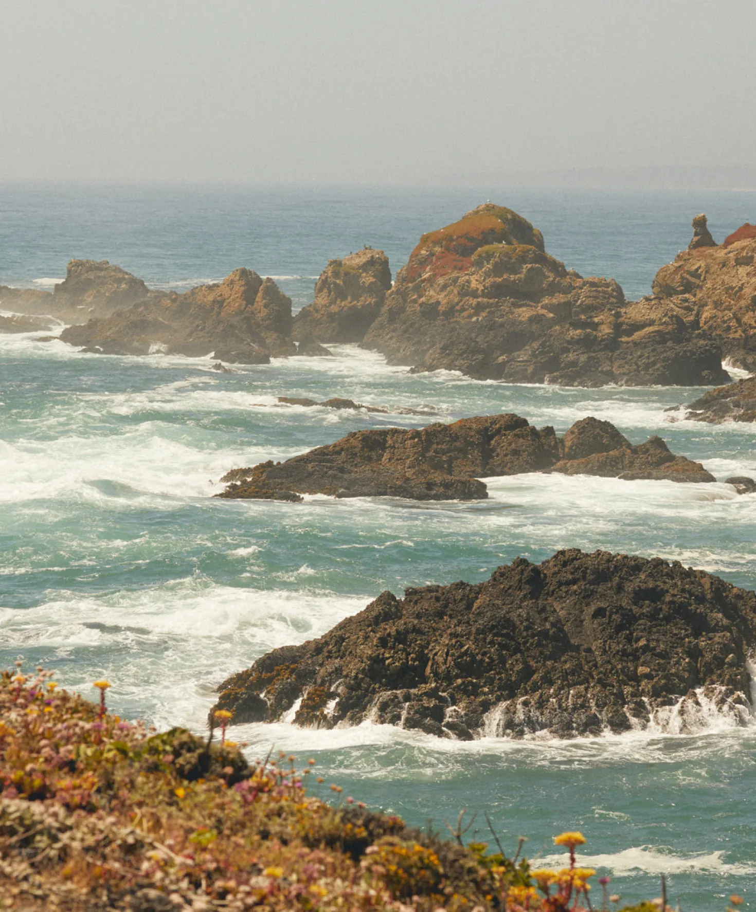 Women's Hightide Hoodie