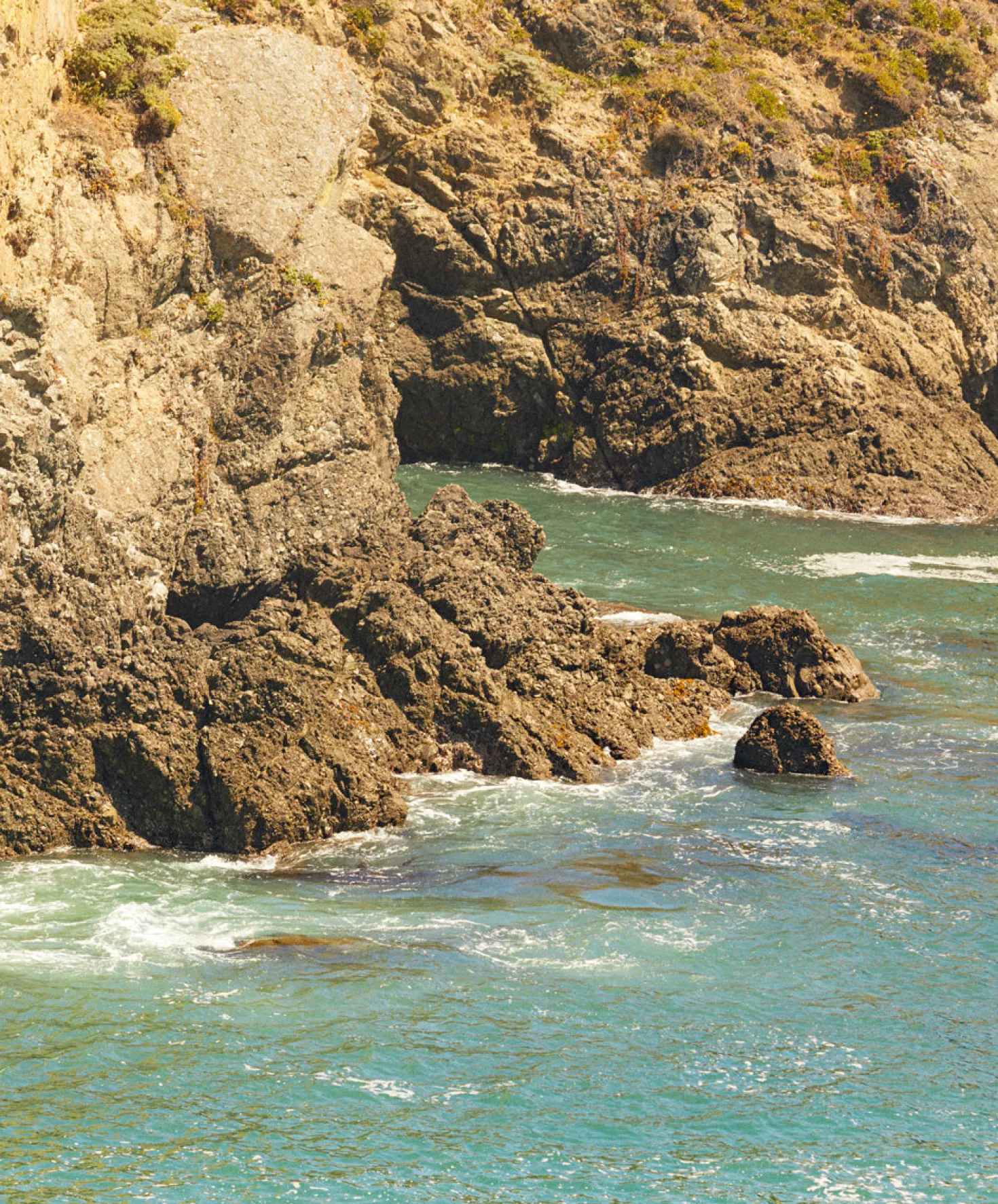 Women's Hightide Shirt