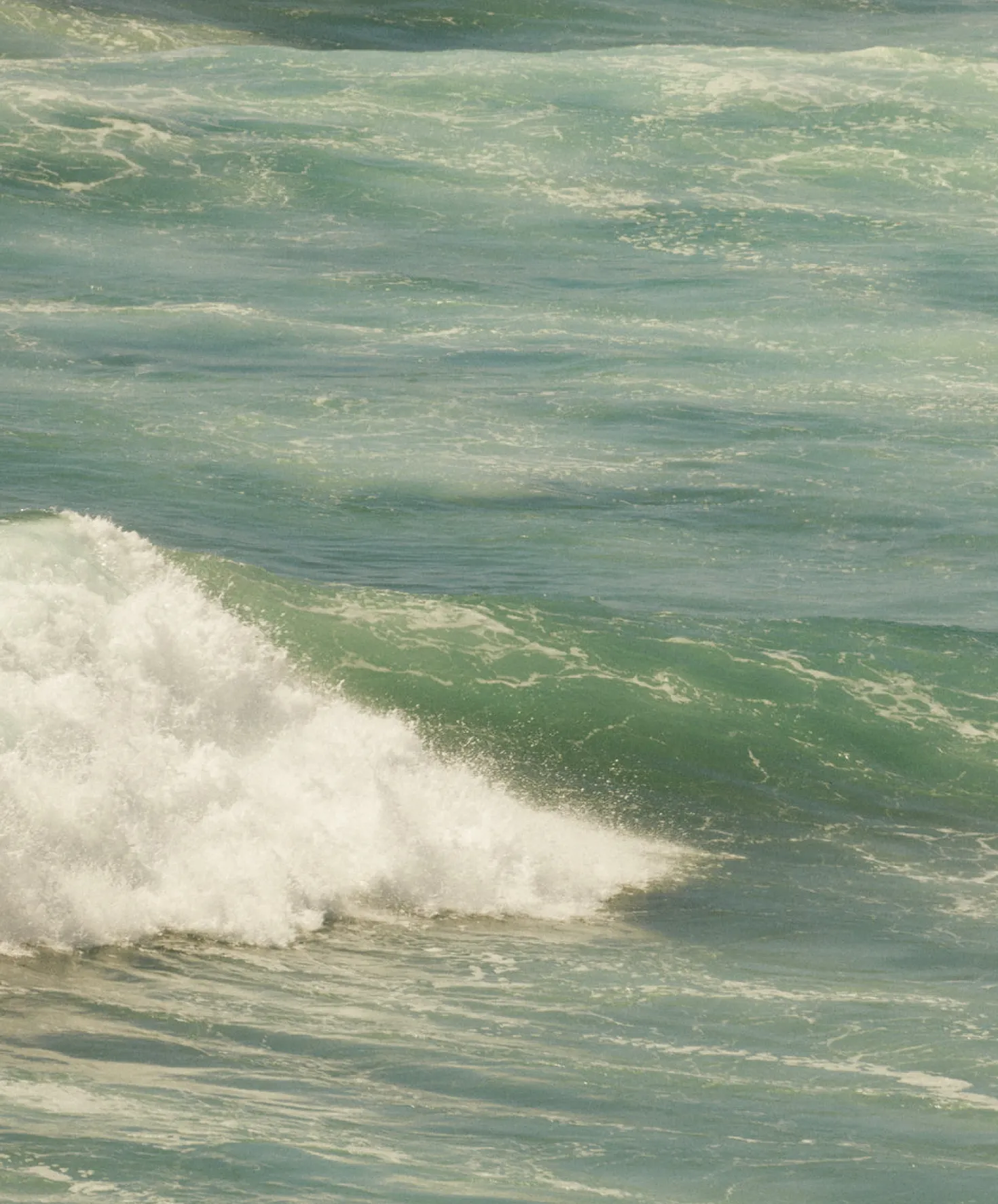 Women's Seventyseven Cord Shorts