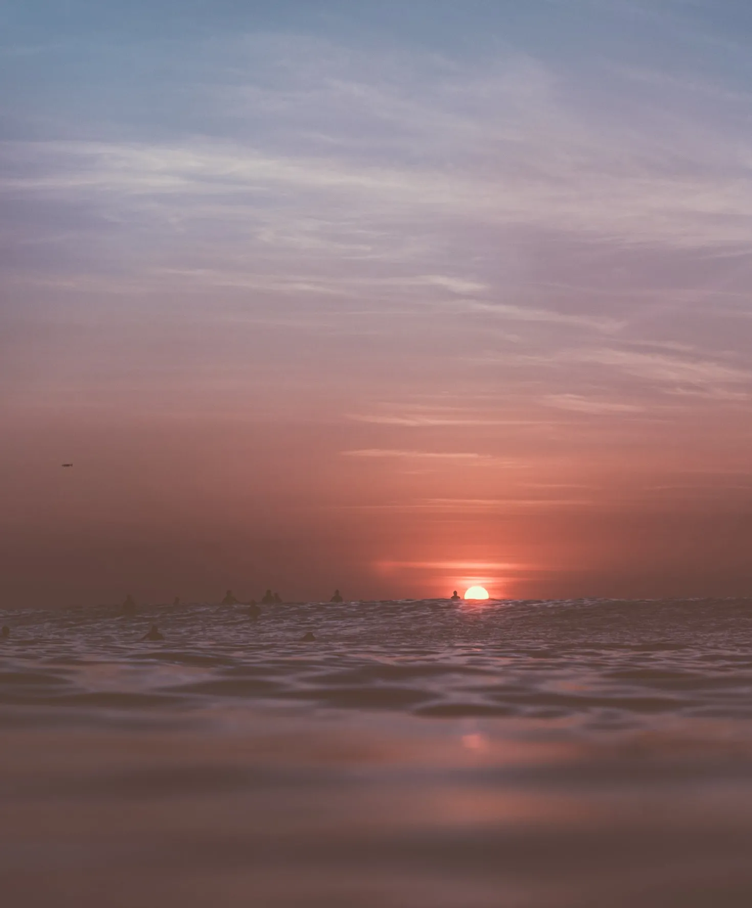 Women's Seventyseven Cord Shorts