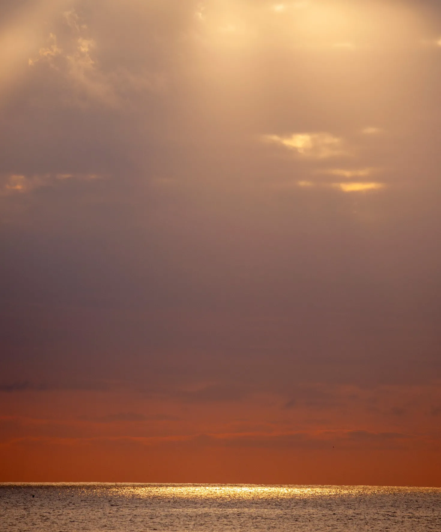 Women's Westerly Blanket Shirt